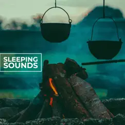 Sleeping Nature Sounds Song Lyrics
