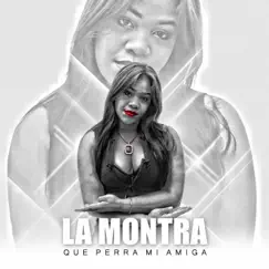 Que Perra Mi Amiga - Single by La Montra album reviews, ratings, credits