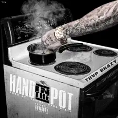 Hand in the Pot - Single by TRVP BRAZY album reviews, ratings, credits