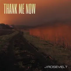 Thank Me Now (feat. Don Cannon) by J Rosevelt album reviews, ratings, credits