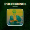 Polytunnel - Single album lyrics, reviews, download