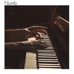 Numb (Piano Rock Cover) Song Lyrics