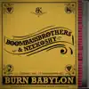 Burn Babylon - Single album lyrics, reviews, download