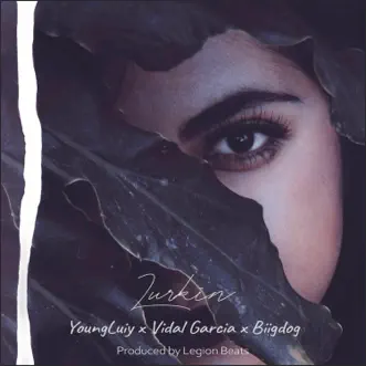 Lurking (feat. Biigdog & Vidal Garcia) - Single by YoungLuiy album download