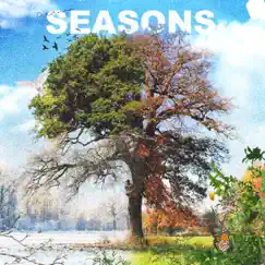 Seasons by Addmo album reviews, ratings, credits
