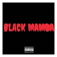 Black Mamba Song Lyrics