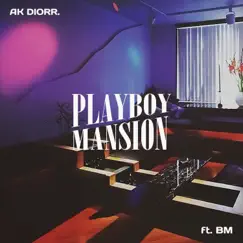 PLAYBOY MANSION (feat. BM) Song Lyrics