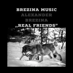 Real Friends - Single by Alexander Brezina album reviews, ratings, credits