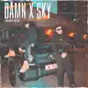 DAMN / SKY (feat. ProfJam) - Single album lyrics, reviews, download