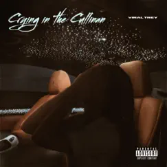 Crying in the Cullinan - Single by ViralTrey album reviews, ratings, credits