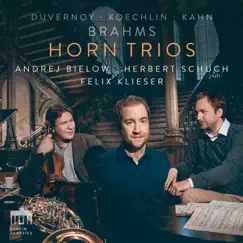 Trio for Horn, Violin and Piano in E-Flat Major, Op. 40: II. Scherzo (Allegro) Song Lyrics