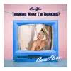 Are You Thinking What I'm Thinking - Single album lyrics, reviews, download