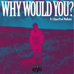 Why Would You? (feat. Anneliese & 4Quan) Song Lyrics