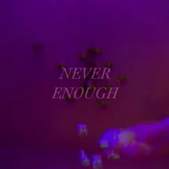 Never Enough - Single (feat. Legaci) - Single by Amelia Michelle album reviews, ratings, credits