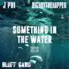 Something in the Water - Single album lyrics, reviews, download