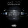 Why (feat. Friday) - Single album lyrics, reviews, download