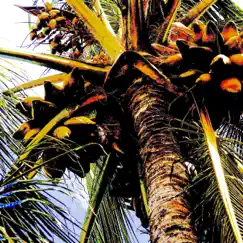 Under the Palm Tree - EP by Deebop album reviews, ratings, credits