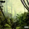 I'm from the Jungles - Single album lyrics, reviews, download