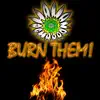 Burn Them - Single album lyrics, reviews, download