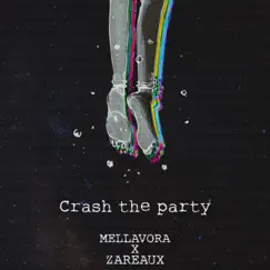 Crash the Party Song Lyrics