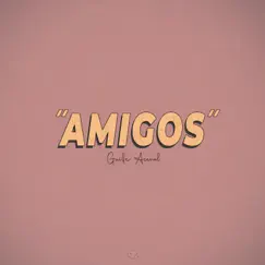 Amigos - Single by Guille Aceval album reviews, ratings, credits