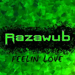 Feelin' Love - Single by Razawub album reviews, ratings, credits