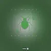 Bed Bugs (feat. Reggie Baybee & Country Bo) - Single album lyrics, reviews, download