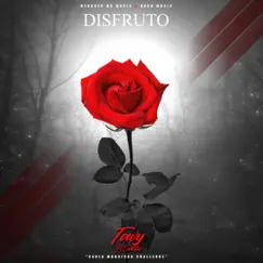 Disfruto - Single by Tavy el Cientifico album reviews, ratings, credits