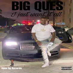 I Just Want It All - Single by Big Ques album reviews, ratings, credits