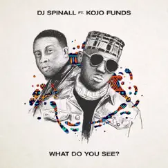 What Do You See? (feat. Kojo Funds) - Single by SPINALL album reviews, ratings, credits