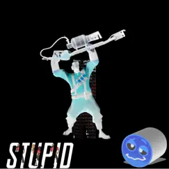 Stupid - Single by Tsuyunoshi album reviews, ratings, credits