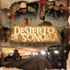 Desierto de Sonora - Single by Jose Huerta & Martín Castillo album reviews, ratings, credits