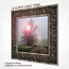 A Love Like This... (feat. Martin Peel, Ian Hamilton, Alan Garmonsway, Franky Gibbon & Al Harrington) - Single album lyrics, reviews, download