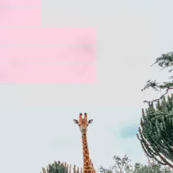 The Giraffe Song Lyrics