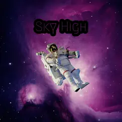 Sky High - Single by Rece Beast album reviews, ratings, credits