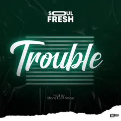 Trouble - Single by Soulfresh album reviews, ratings, credits