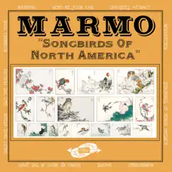 Songbirds of North America by Marmo album reviews, ratings, credits