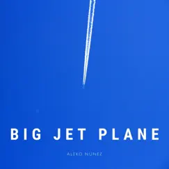 Big Jet Plane (Arr. for Guitar) - Single by Aleko Nunez album reviews, ratings, credits