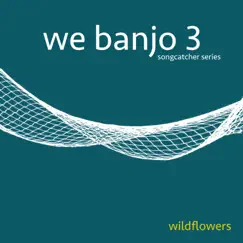 Wildflowers - Single by We Banjo 3 album reviews, ratings, credits