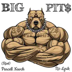 Big Pit$ - Single by Riot & Ro Lyrik album reviews, ratings, credits