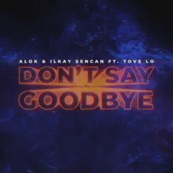 Don't Say Goodbye (feat. Tove Lo) Song Lyrics