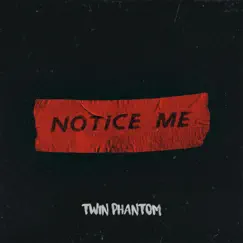 Notice Me - Single by Twin Phantom album reviews, ratings, credits