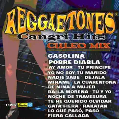 Cangri Hits - Culeo Mix by Reggaetones album reviews, ratings, credits