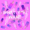 What You Want - Single album lyrics, reviews, download