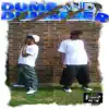 Dumb & Dumberer album lyrics, reviews, download