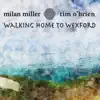 Walking Home to Wexford - Single album lyrics, reviews, download