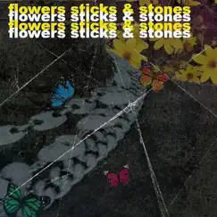 Flowers Sticks and Stones by Shezvin album reviews, ratings, credits