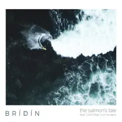 The Salmon's Tale (feat. Colm Mac Con Iomaire) - Single by BRÍDÍN album reviews, ratings, credits