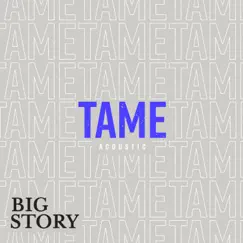 Tame (Acoustic) - Single by Big Story album reviews, ratings, credits