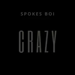 Crazy - Single by Spokes Boi album reviews, ratings, credits